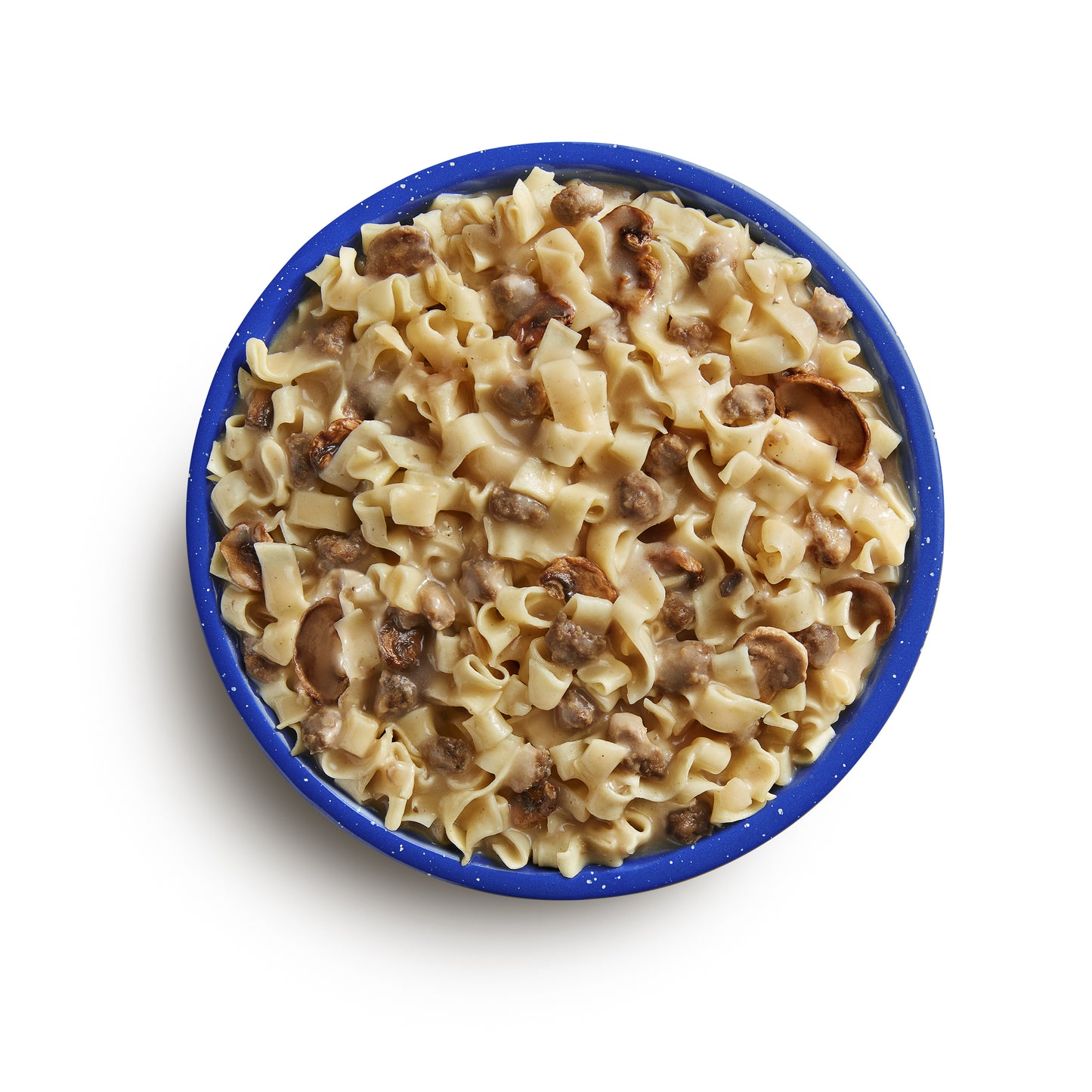 Mountain House - Beef Stroganoff with Noodles (2 Servings) - RTG Supply Co