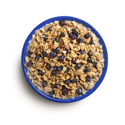 Mountain House - Granola with Milk & Blueberries (2 Servings) - RTG Supply Co