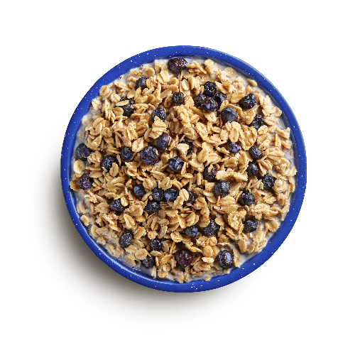 Mountain House - Granola with Milk & Blueberries (2 Servings) - RTG Supply Co